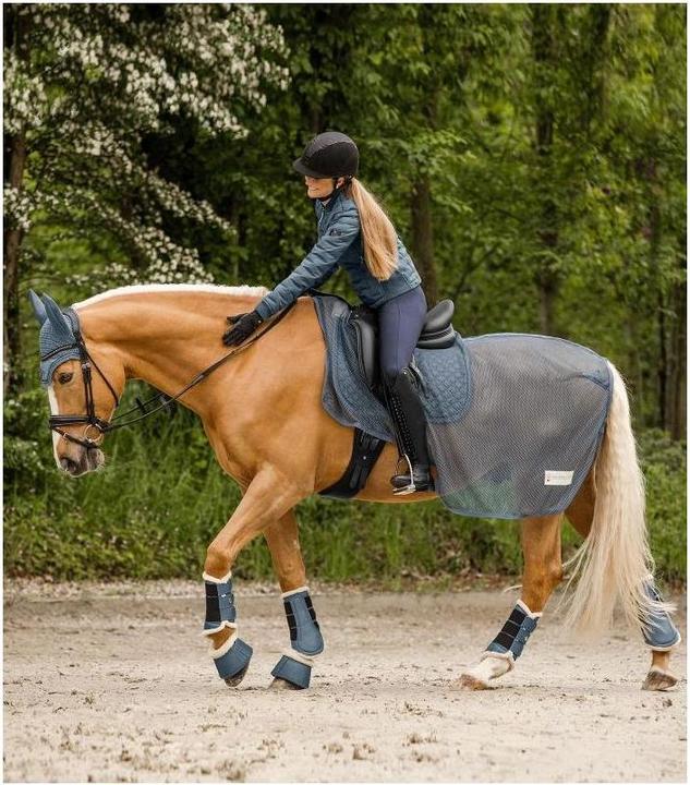 Produktbild Waldhausen Dressurgamasche Pegasus