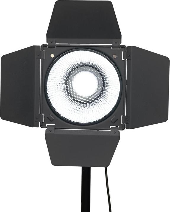 Actual product image Nanlite Barndoor (Barn door)
