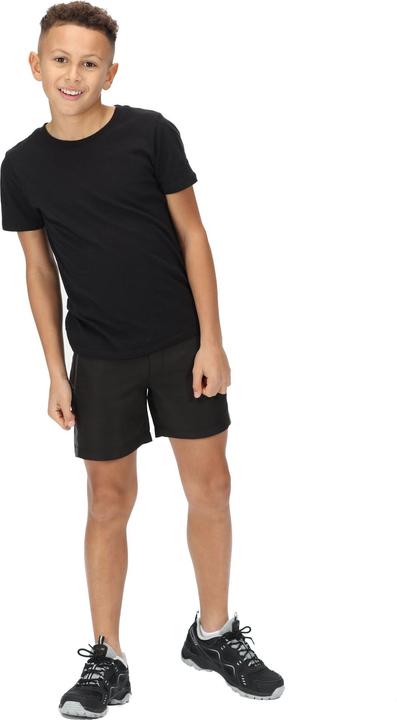 Actual product image Regatta Childrens/Kids Sorcer Mountain III Shorts (146)