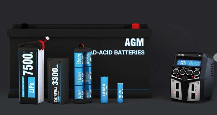 Actual product image SkyRC Dual charger T100