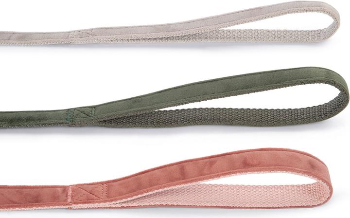 Productafbeelding Designed by Lotte Velura (Hond, Loop)
