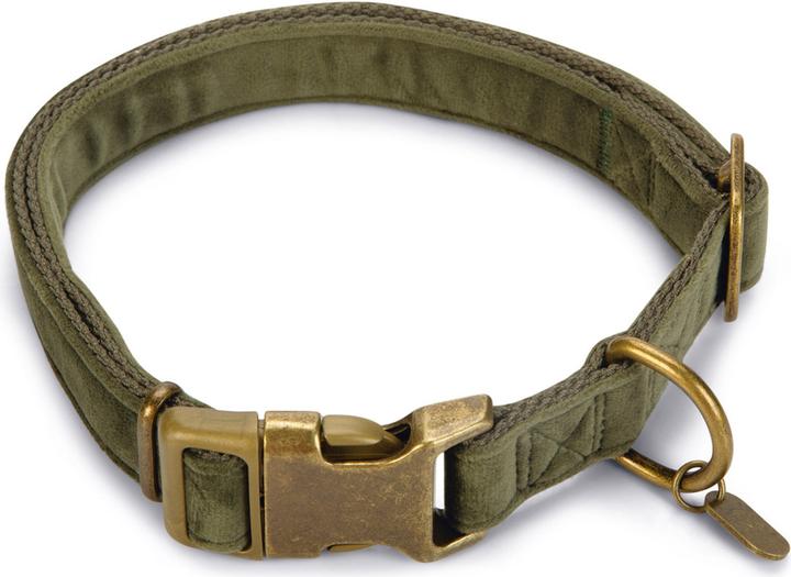 Designed by Lotte Velura (Hund, Spazieren)
