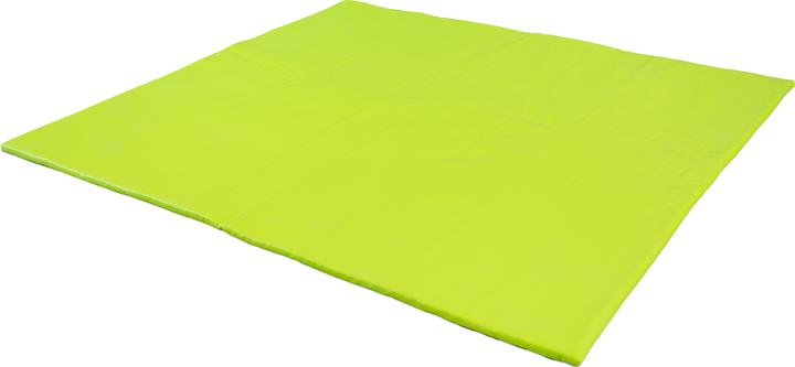 Sport-Thieme Playground gym and play mat