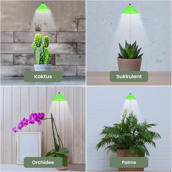 Produktbild Colibri Sunlite (LED, 230 V)
