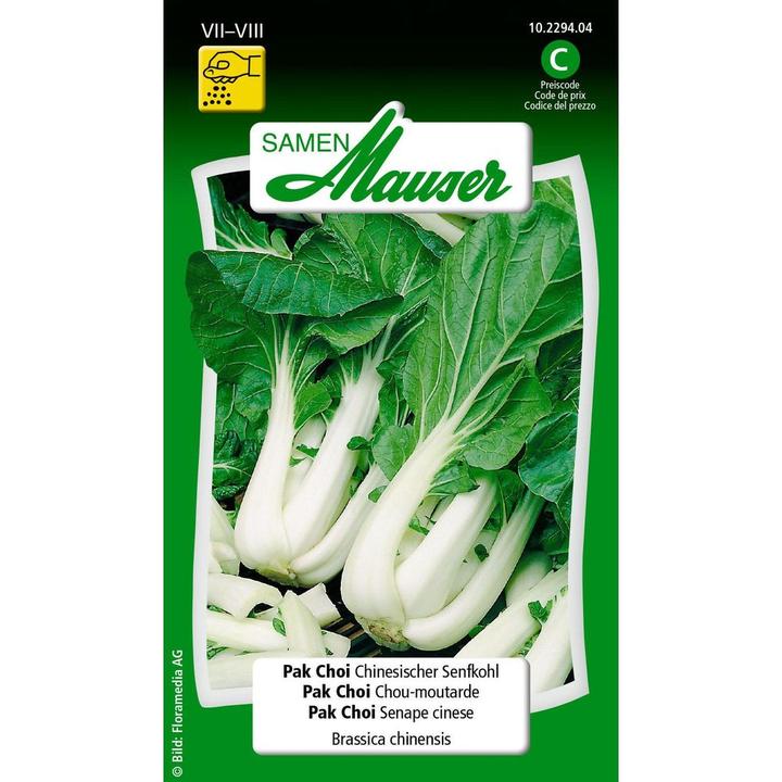Produktbild Samen Mauser Pak Choi Chinesischer Senfkohl (Gemüsesamen)