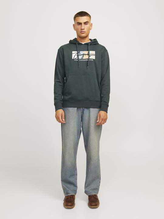 Produktbild Jack & Jones Jorportland Block Sweat Hood Ln (S)