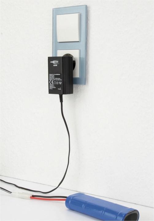 Actual product image Ansmann Acs48 (1 pcs., Device specific, Battery + charger)