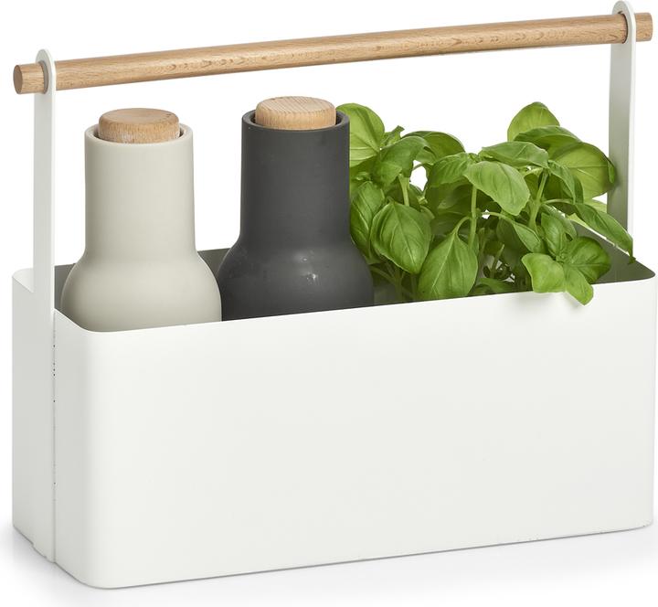 Image du produit Zeller Present Panier de transport (31.5 x 12 x 24 cm, 9.07 l)