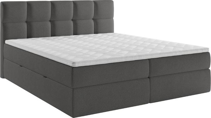 Image du produit Livetastic Lorie