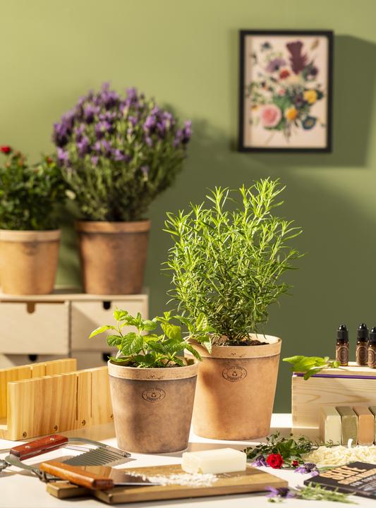 Produktbild Scheurich Toscana, Blumentopf aus Keramik, Farbe: Toscana Nero, 11,6 cm Durchmesser, 9,3 cm hoch, 0 (11.60 cm)