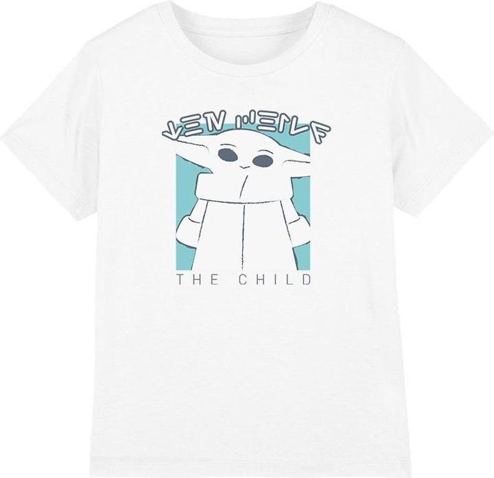Star Wars TShirt (140)