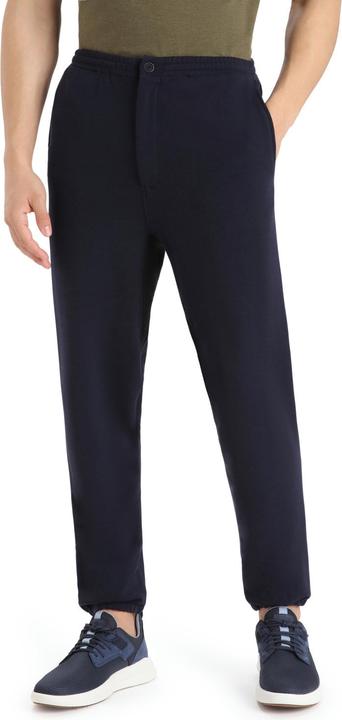 Actual product image Icebreaker Men Dalston Jogger (L)