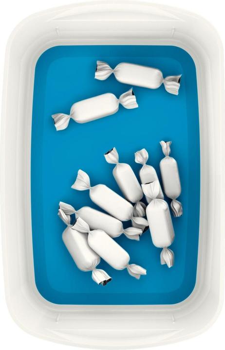 Actual product image Leitz MyBox storage tray (24.6 x 9.8 x 16 cm, 3.80 l)