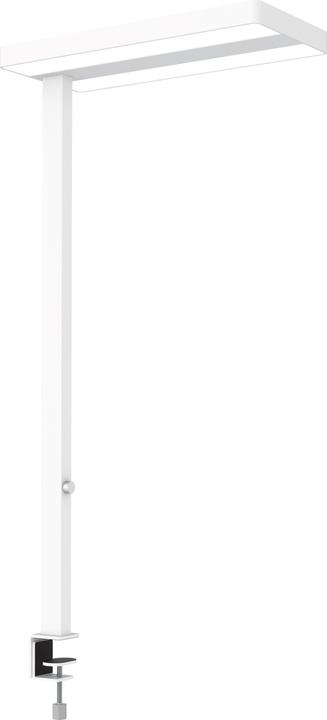 Image du produit Maul MAULJAVAL - Lampes à LED (13060 lm)