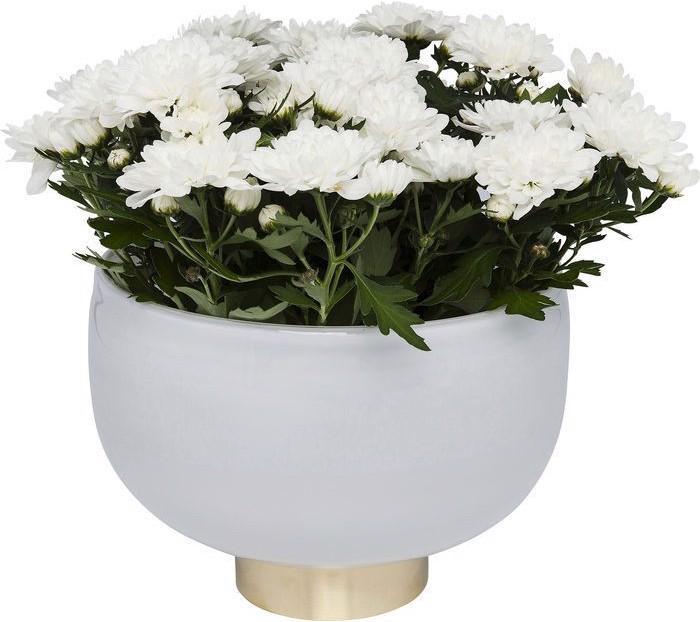 Image du produit Kare Design Vase Pure blanc Bowl 17cm