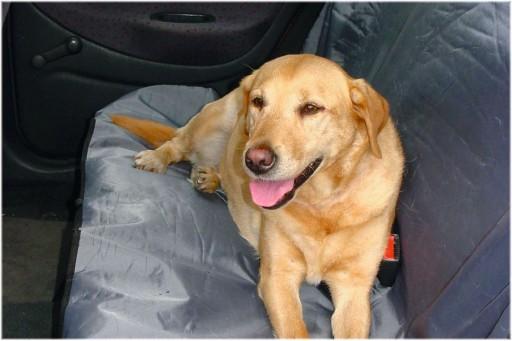 Image du produit Beeztees Bz Couverture De Protection Auto Universelle (Chien, Lavable)