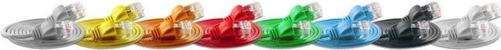 Immagine prodotto Wirewin Cavo di rete, rotondo (UTP, CAT6, 0.50 m)