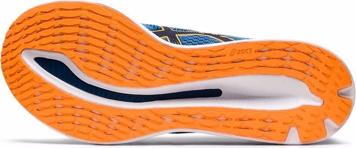 Actual product image ASICS Performance Glideride (44.5)