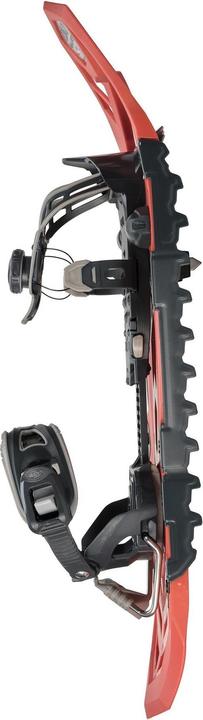 Actual product image Tsl Highlander Original 2 (20.50")