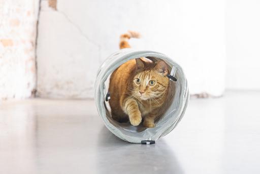 Actual product image Designed by Lotte Cat tunnel (Cat tunnel)