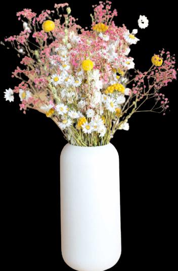 Produktbild la fleur douce Joyeux (Trockenblumen)