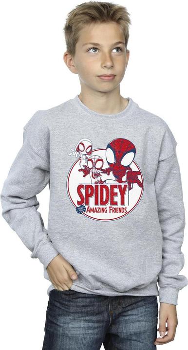 Produktbild Spidey And His Amazing Friends Circle Sweatshirt Jungen (116)