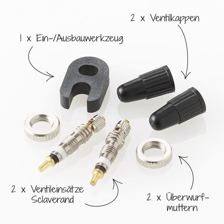 Actual product image Fischer Ventil-Set Sclaverand mit Werkzeug