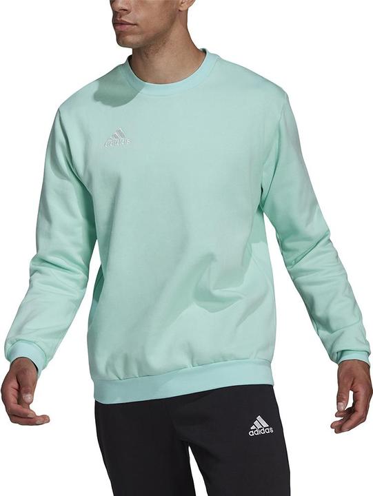 Actual product image adidas Entrada 22 Sweatshirt (XL)
