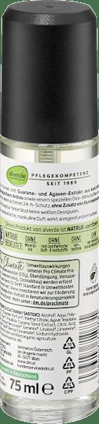 Actual product image dm alverde MEN Active Nature Deodorant Sprayer (Spray, 75 ml)