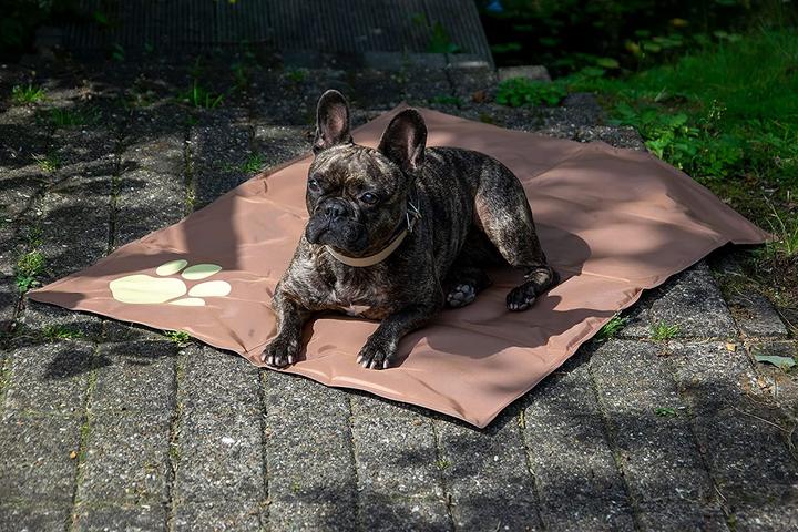 Image du produit Dobar Tapis de refroidissement (Chien)