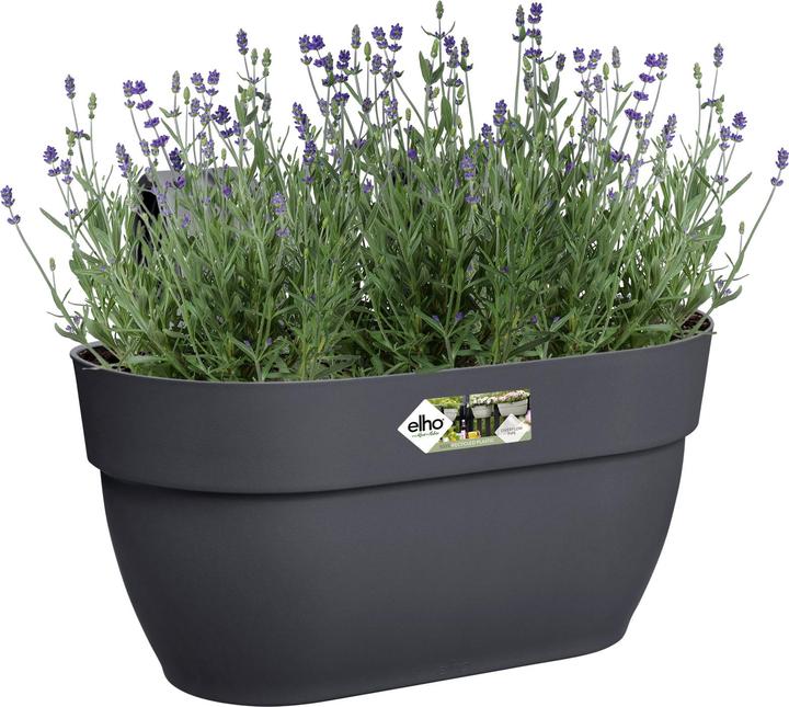 Actual product image Elho Flower Bowl (36 cm)
