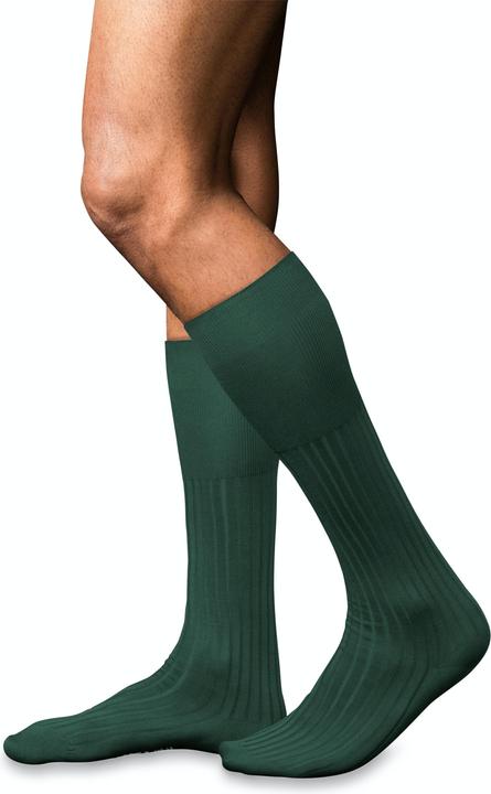 Produktbild Falke No. 13 KH (41 - 42)