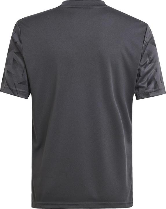Actual product image adidas Team Icon 25 Jersey Kids (128)