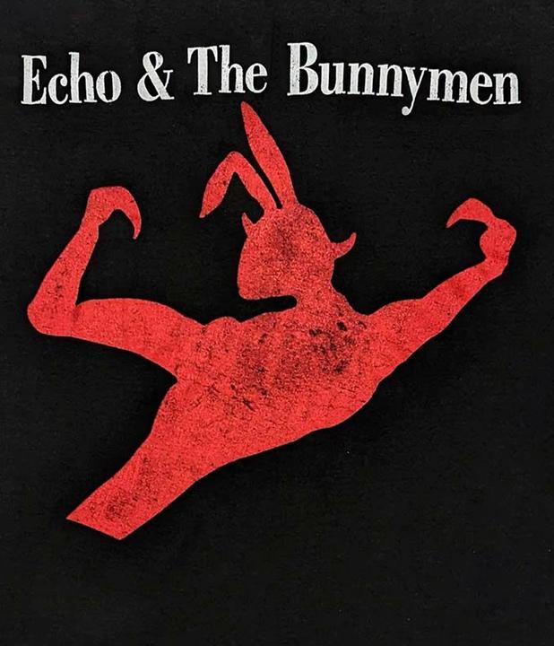 Produktbild Echo & The Bunnymen TShirt (L)