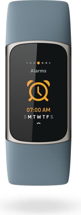 Produktbild Fitbit Charge 5 & Busbi Wasp (26 mm)