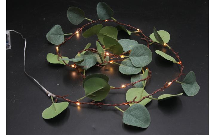 Image du produit GuGus Feuilles d'eucalyptus (0.30 m)