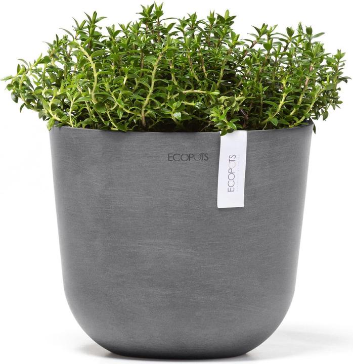 Image du produit Ecopots Oslo Mini (19 cm)