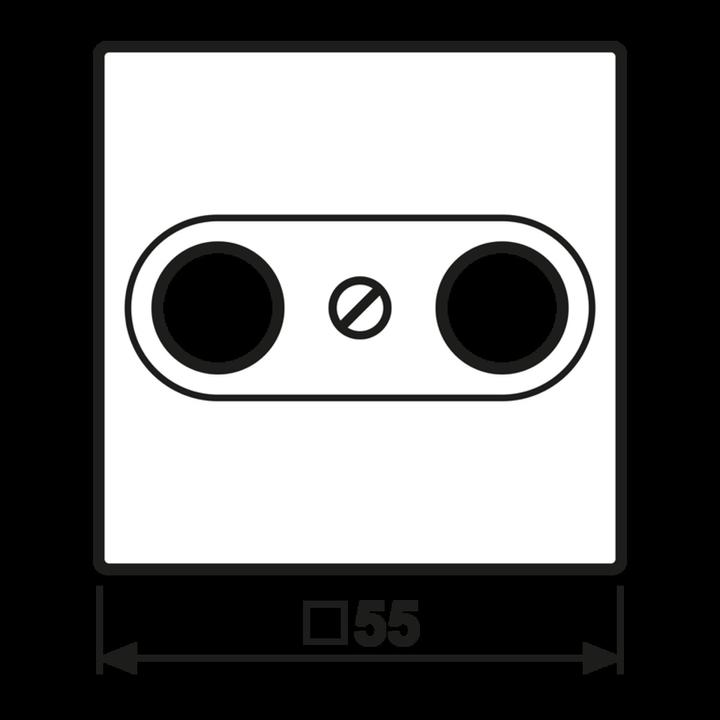 Actual product image Albrecht Cover 2hole A561BFPLTVANM f.antenna outlet series A anthr.matt