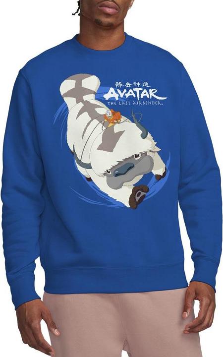 Produktbild Avatar: The Last Airbender In Flight Sweatshirt (S)