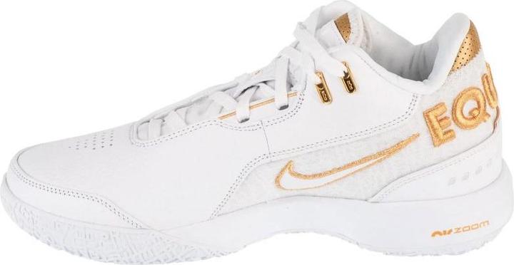 Image du produit Nike Chaussures LeBron NXXT Gen (42.5)