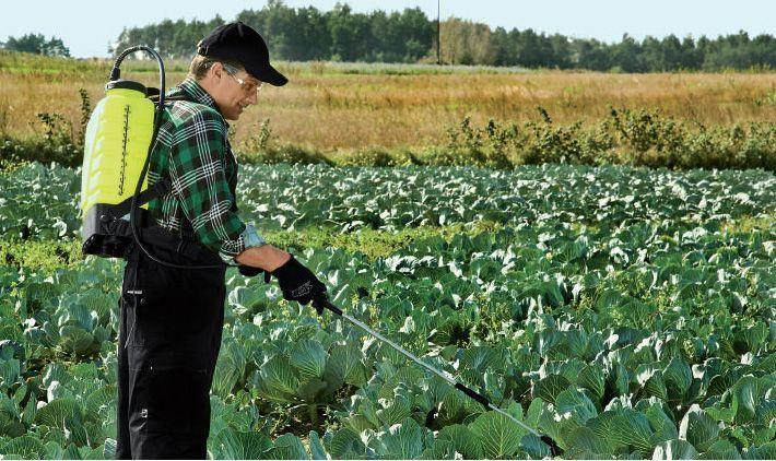 Productafbeelding Marolex TITAN rugspuit (12 l)