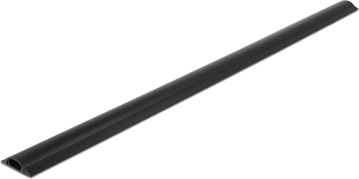 Delock Kabelkanal (Kabelkanal, 100 cm)