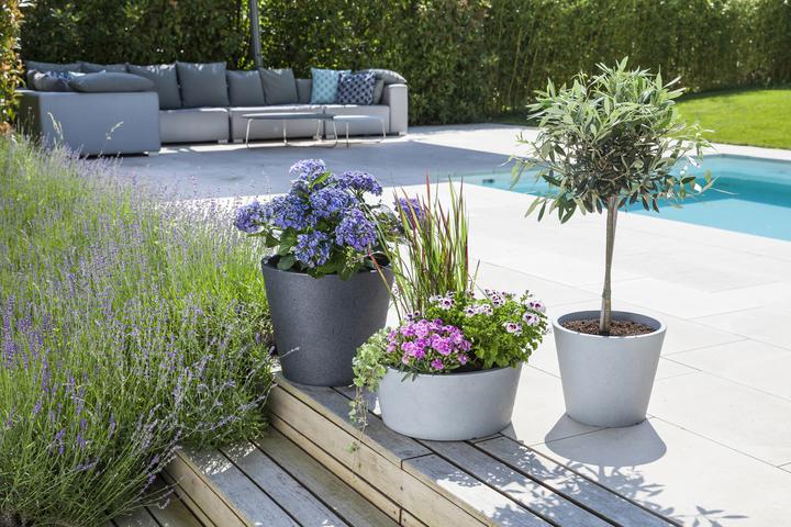 Produktbild Scheurich C-Cone Bowl (39 cm)