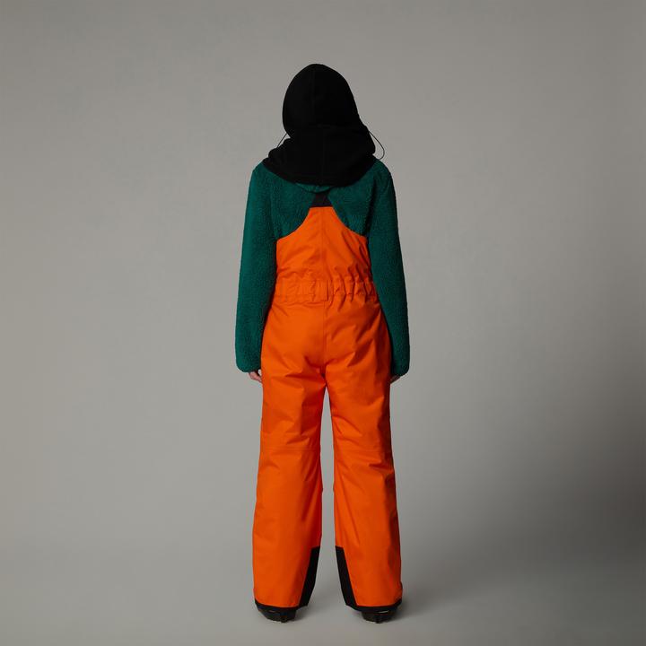 Actual product image North Face Teen Freedom Insulated Bib (XL)