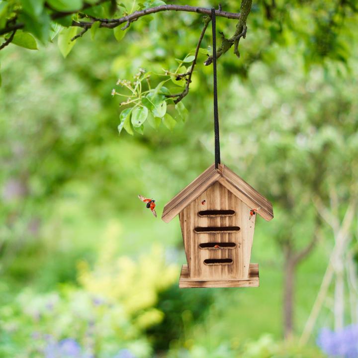 Productafbeelding Relaxdays 2x maison de coccinelle (Lieveheersbeestje)