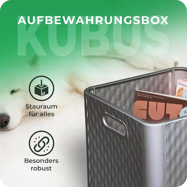 Produktbild Novaliv 4X Box 30x30x30 cm Kunststoff Boxen für Kallax Regal Körbe 30x30 Aufbewahrungsbox als Schran (30 x 30 x 30 cm, 25 l)