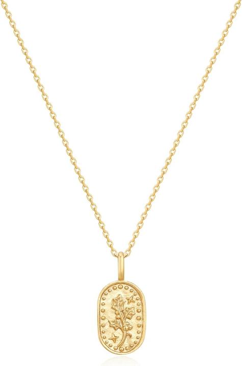 Glanzstücke München Damen Halskette Geburtsblume Dezember Stechpalme - 37202 (Sterling Silber, 40 - 45 cm)