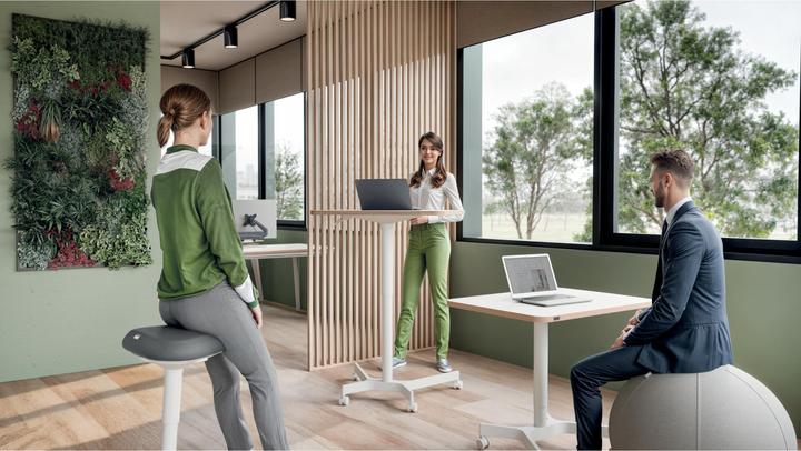 Image du produit Leitz Ergo Compact Workstation Bureau réglable en hauteur (80 x 60 x 75 cm)