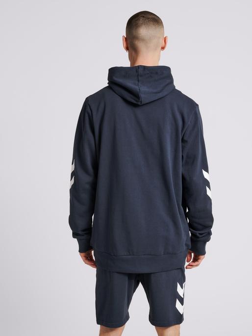 Actual product image hummel Legacy Zip Hoodie (M)