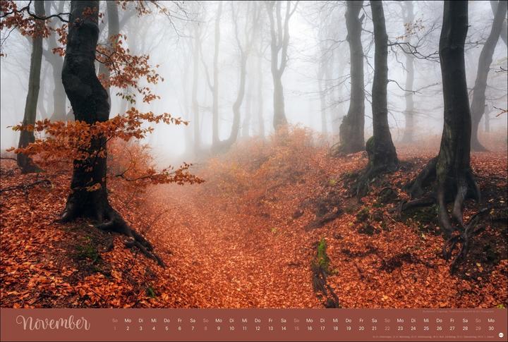 Actual product image Zauberwälder Edition Kalender 2026 (Hardcover, German)